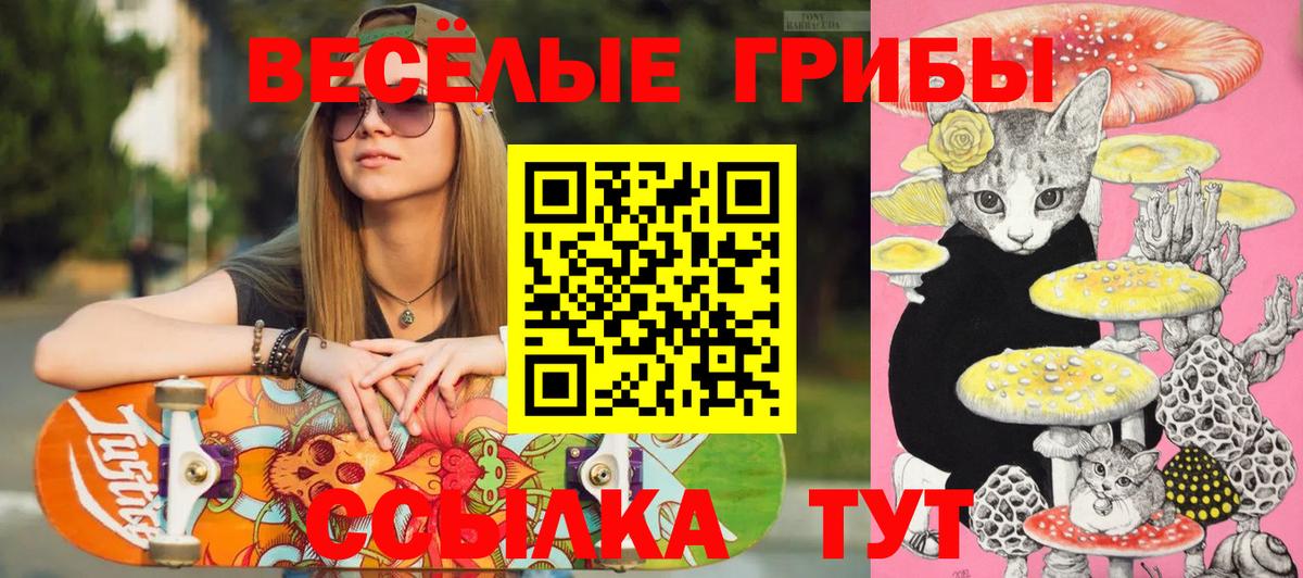 Галлюциногенные грибы мухоморы  Вход с VPN  Усть-Джегута 