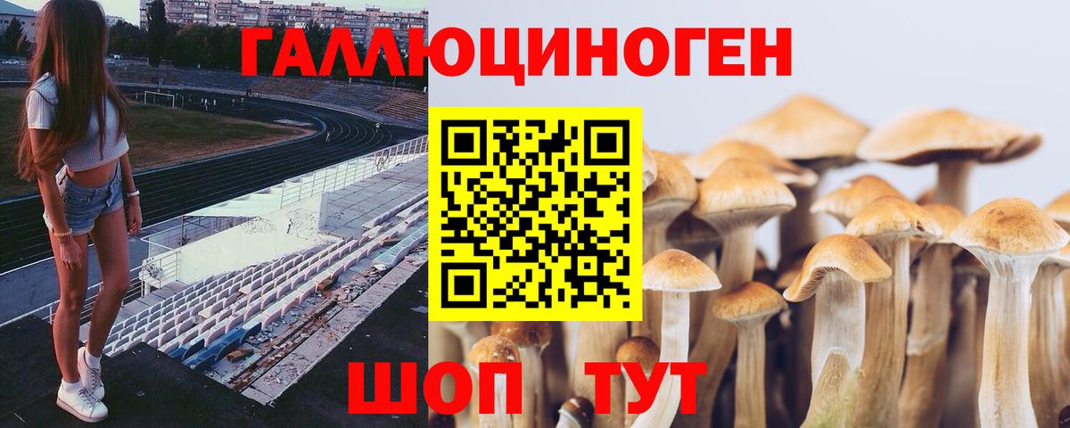 Галлюциногенные грибы ЛСД Усть-Джегута