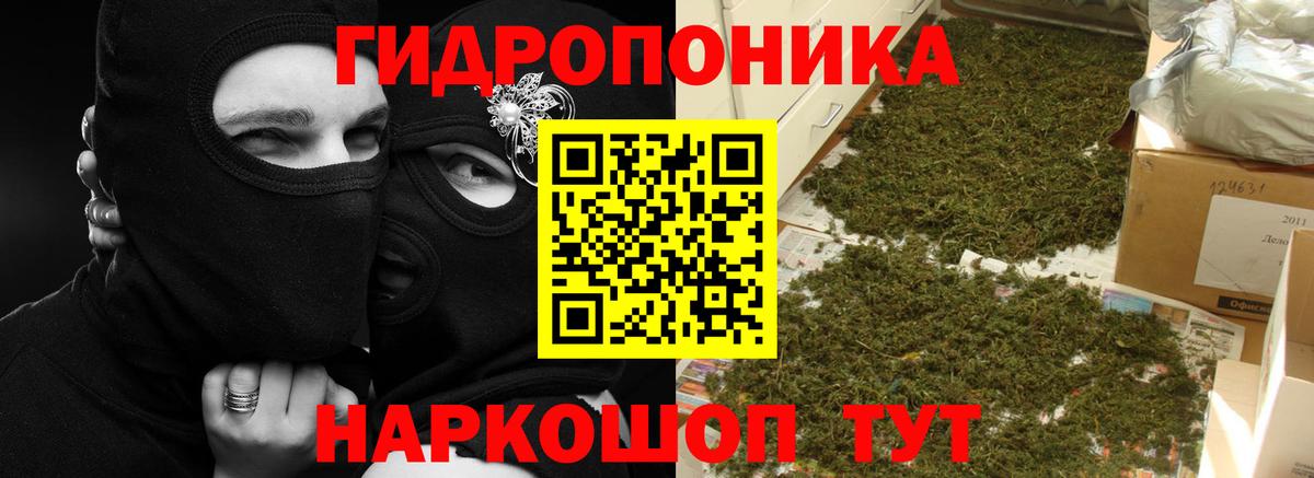 Бошки Шишки ГИДРОПОН  Марихуана Bruce Banner  Вход с VPN  Каннабис SATIVA & INDICA  Усть-Джегута 